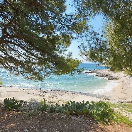 شقة House Juretic - 50 M From The *