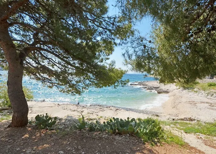 Apartman House Juretic - 50 M From The *
